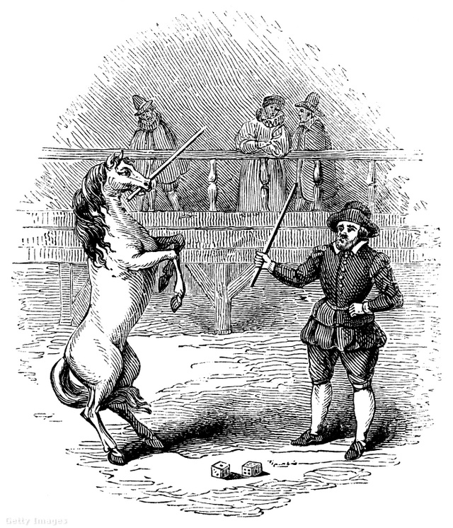 William Banks híres lova, Marocco