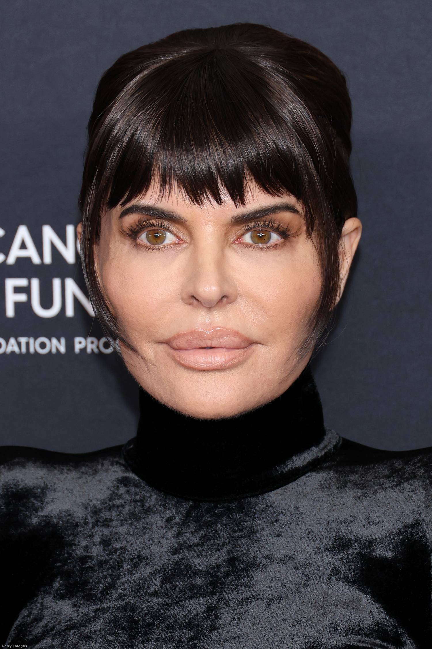 lisa rinna 2024
