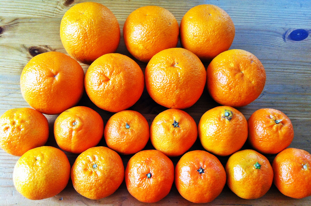 narancslekvár3