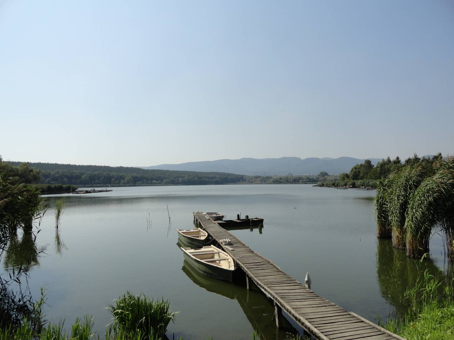A falutól délkeletre található a festői szépségű Jenői-tó, melyet az azonos nevű patak felduzzasztásával hoztak létre. Ideális hely egy láblógatós piknikhez is.