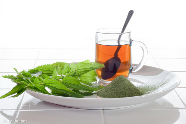 Se recomienda beber té de ortiga únicamente como tratamiento.
