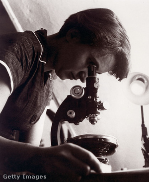 Rosalind Franklin, a tudós nő