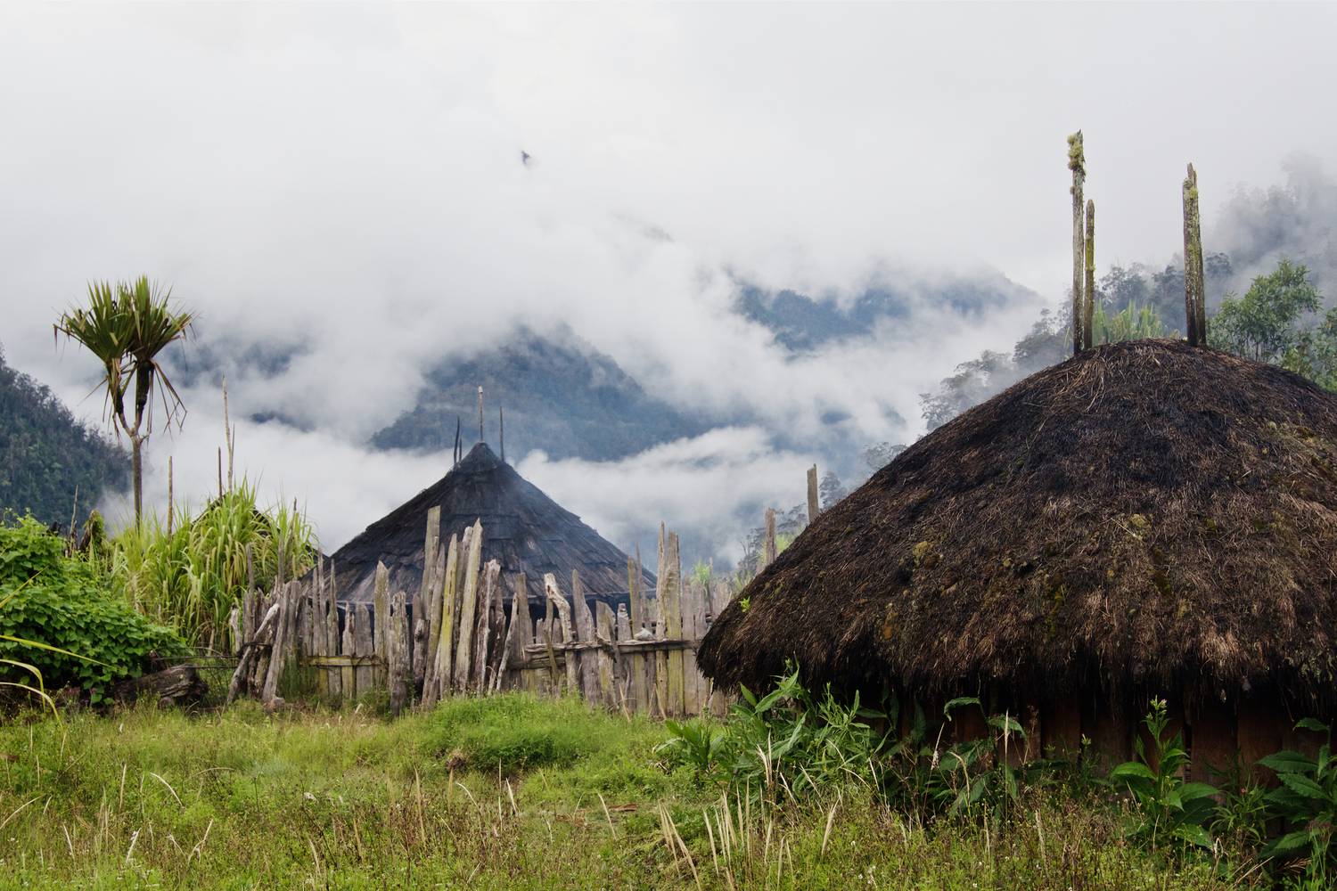 Indonéziában a honai nevet viselik a speciális, kör alakú házak, amiket falécekből, bambuszból és pálma levelekből raknak össze.