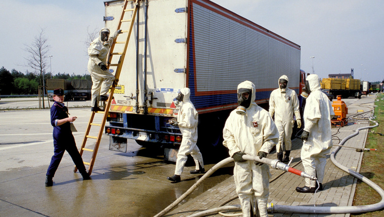 Először a madarak hulltak le az égről…