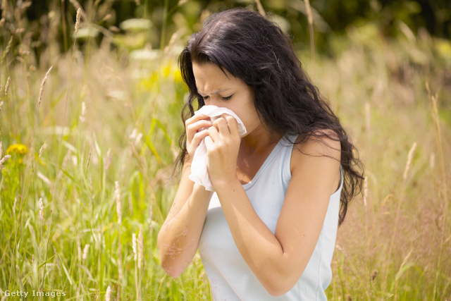 Az allergiaszezon sok magyar életét teszi pokollá