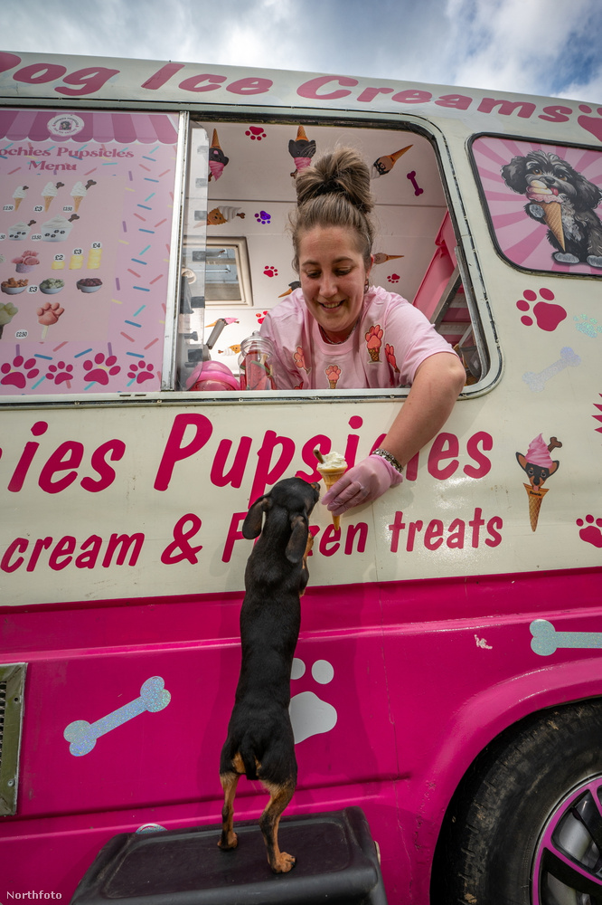 Emmie Stevens négy évvel ezelőtt nyitotta Poochies Pupsicles' elnevezésű fagylaltos kocsiját kutyák számára a dél-londoni Croydonban.