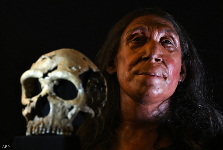 Shanidar Z nevű 75000 éves neandervölgyi nő, Shanidar Z újraépített koponyája és fizikai rekonstrukciója látható az iraki Kurdisztánban lévő barlang után, ahol 2018-ban megtalálták a koponyáját a kelet-angliai Cambridge-i Egyetemen 2024. április 25-én