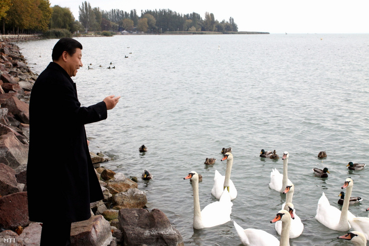 A hivatalos magyarországi látogatáson tartózkodó Hszi Csin-ping, a Kínai Népköztársaság alelnöke hattyúkat etet Balatonfüreden, a hajóállomás mólójánál 2009. október 17-én