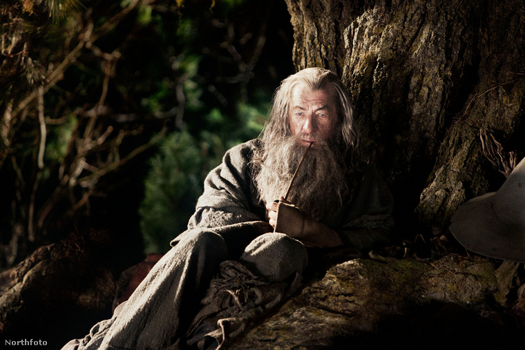 Sir Ian McKellen mint Gandalf. (Fotó: x90 / Northfoto)