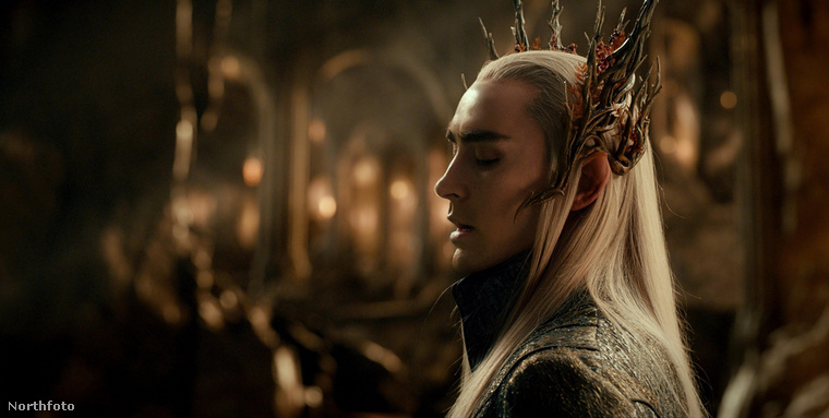 Lee Pace mint Thranduil király. (Fotó: Moviestore Collection/face to fa / Northfoto)