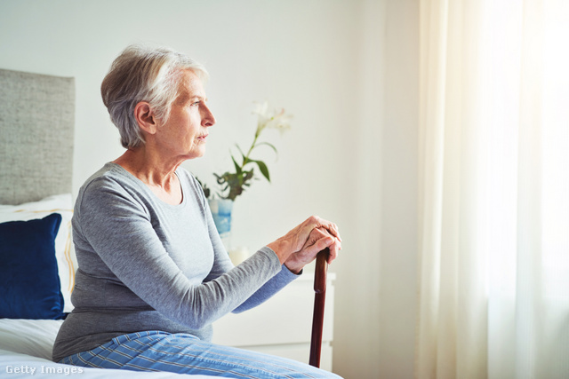 Az élelmiszerek által okozott agyi elváltozások Alzheimer-kórhoz vezetnek