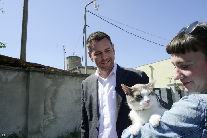 Vitézy Dávid, az LMP és a Vitézy Dáviddal Budapestért Egyesület által támogatott főpolgármester-jelölt egy mentett macskát simogat a Budapest mutasson példát állatvédelemből! címmel tartott sajtótájékoztatóján a FÖRI Állategészségügyi Szolgálat Illatos úti állatbefogadó telepe előtt 2024. május 13-án
