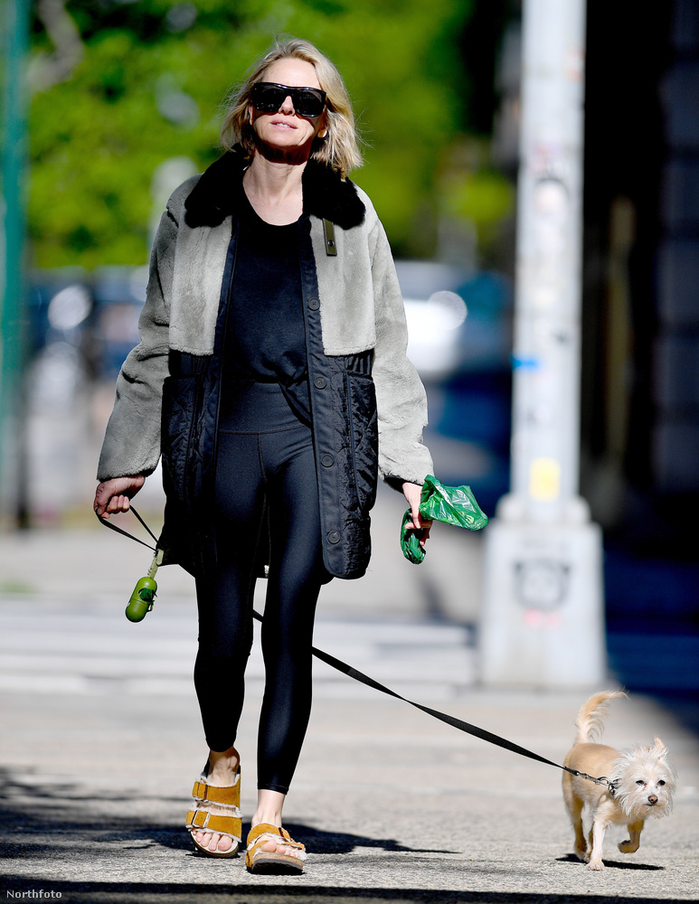 Naomi Wattsot New Yorkban látták kutyát sétáltatni
