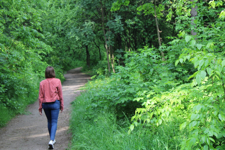 Felfedeztük a pesti oldal rejtett erdejét