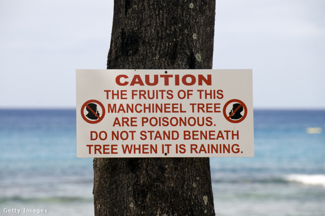 A turistákat táblák figyelmeztetik a halálos veszélyre