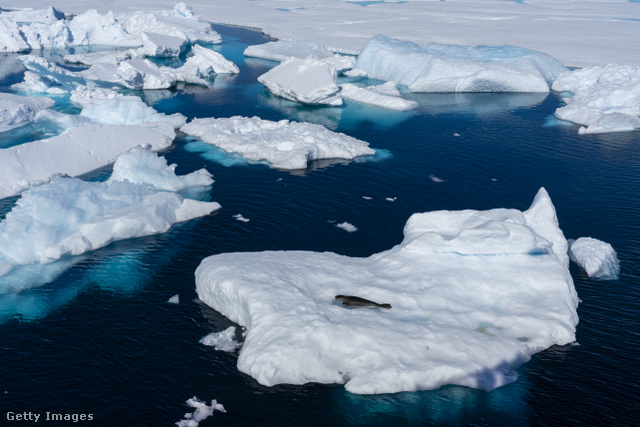 A Ross-jégpolcról nagy jégtömegek válnak le