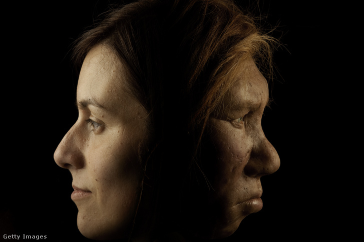 Egy Neander-völgyi nő és egy modern nő összehasonlítása látható itt. A hitelesség érdekében a Neander-völgyi nők anatómiájának másolatát használták fel