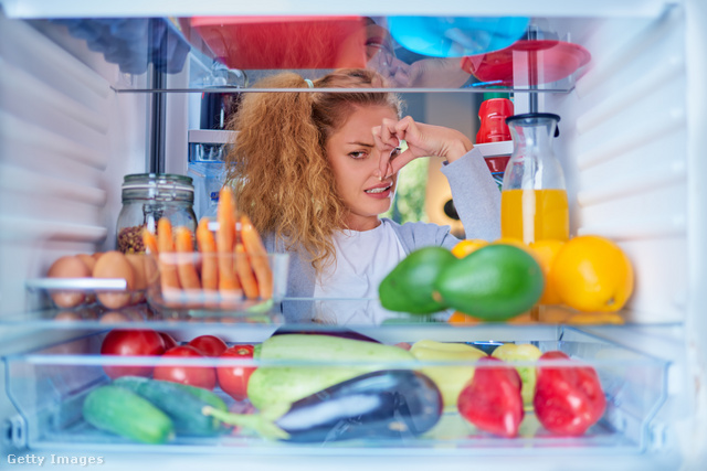 Rengeteg rossz szokás okoz kellemetlen szagokat a hűtőszekrényben