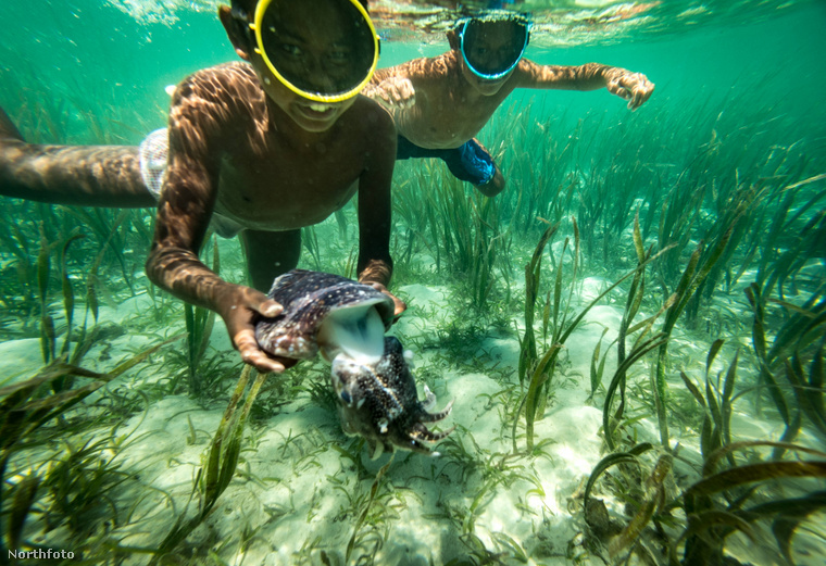 A gyerekek is kiveszik a részüket a víz alatti vadászatból. (Fotó: Ck Ng / Northfoto)