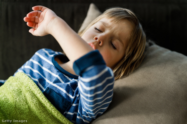 Máig sok szülő veti be a disznózsíros gyógymódot köhögés ellen