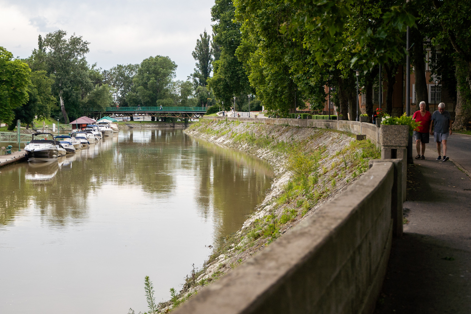 A Kis-Duna sétány és a 110 éves platánok