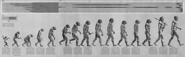 A Fejlődés menete az emberi evolúció 25 millió évét ábrázolja egy képen