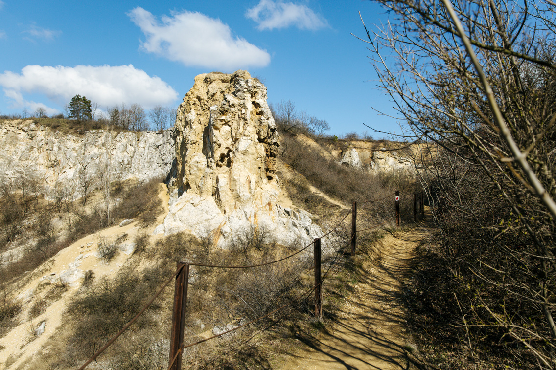 roka-hegyi-kofejto-20190312-hirling-ba-lint-13