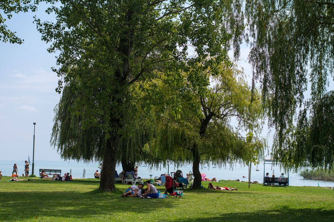 balatonfuzfo-tobruki-strand korosi-tamas 20160818