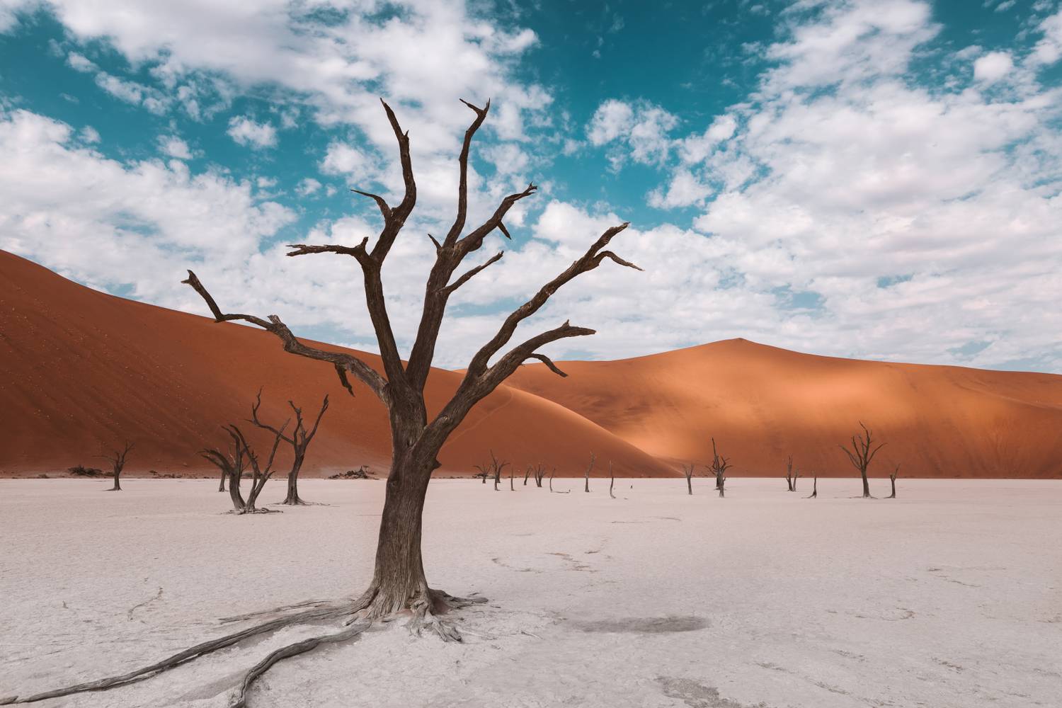 Deadvlei fáit sokan csak csontvázakként emlegetik, ami igazán találó elnevezés.