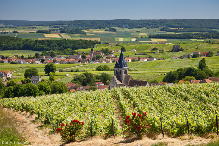 Francia falu Reims közelében, Champagne tartomány szívében.