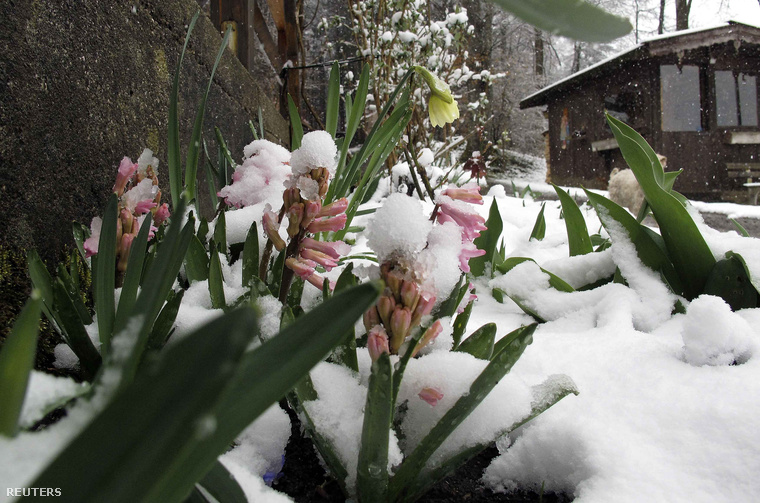 2014-03-23T131507Z 774804401 GM1EA3N1MJQ01 RTRMADP 3 GERMANY