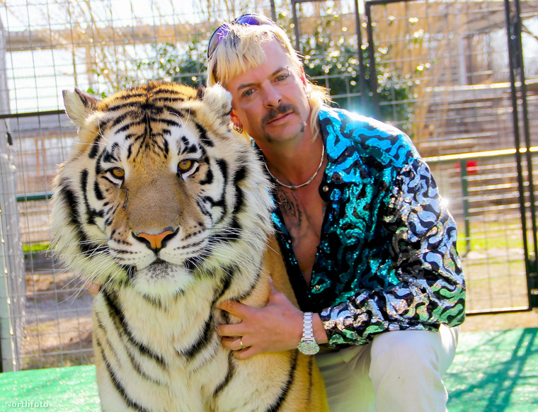 A Netflix hírhedt Tigriskirálya, Joe Exotic nem csak a reality műsorok világában hasít nagyot, ugyanis 2023