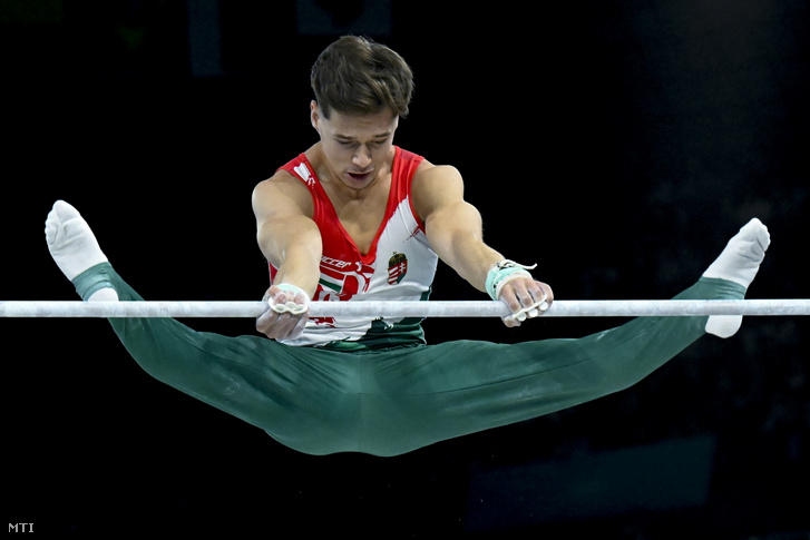 Mészáros Krisztofer