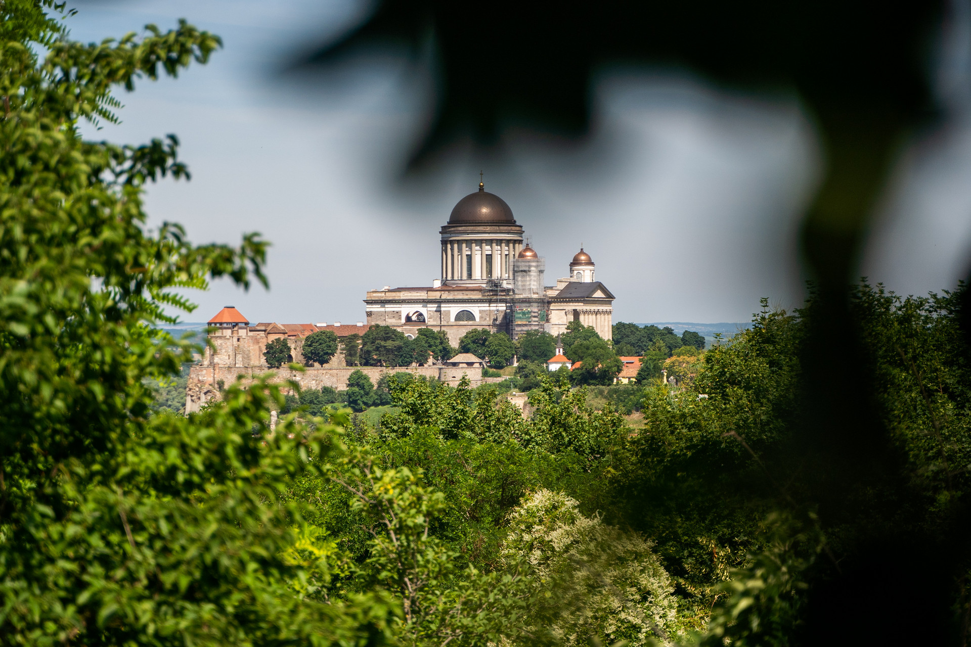 2024.06.14 esztergom bodorkosmate-03269