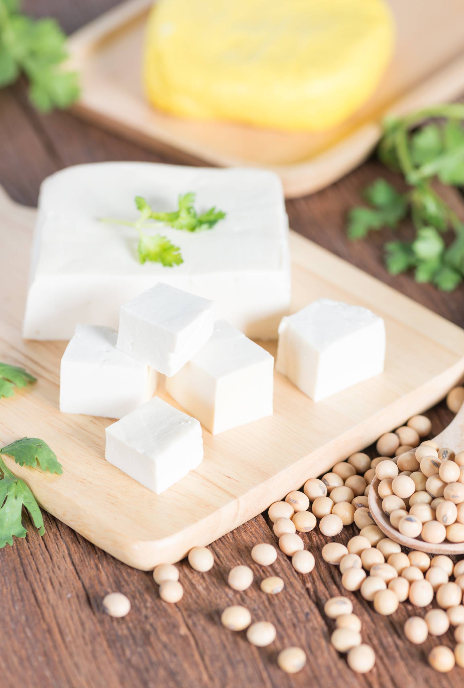 A tofu egy szójababból, a sajtkészítéshez hasonló technikával készülő fehérjedús élelmiszer.