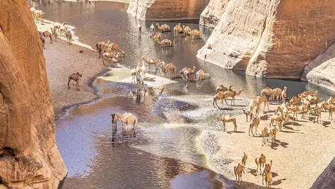 Szürreális, krokodilokkal teli oázis bújik meg a Szahara közepében