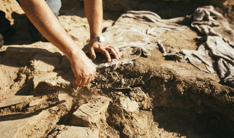 Ez az állat volt a legnagyobb ragadozó