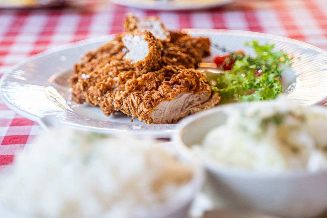 Tonkatsu, Japanese fried meat