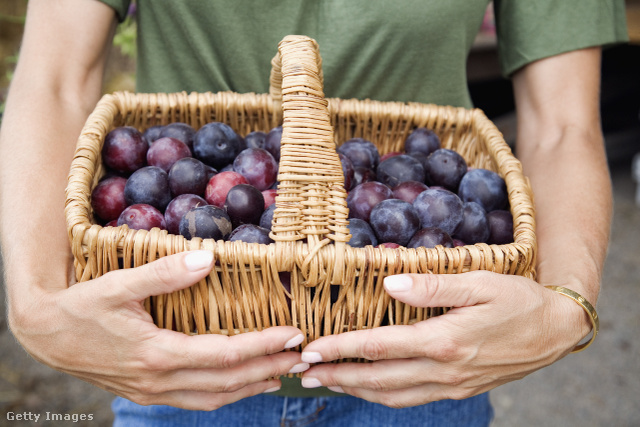 A szilva C-vitaminban gazdag gyümölcs, így védi az egészségünket