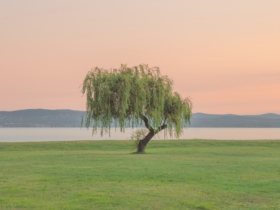 balaton offseason - kiállítás