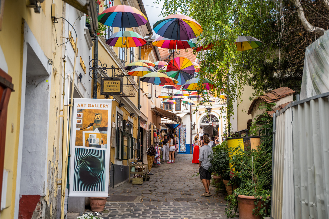 szentendre 2024.07.21 bodorkosmate-09228