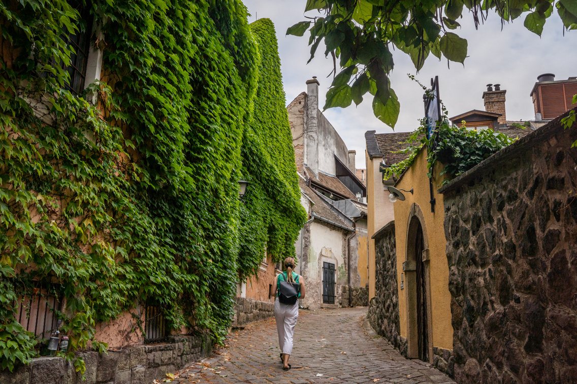 szentendre 2024.07.21 bodorkosmate-08952