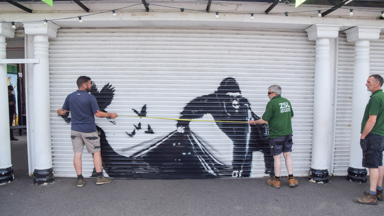 Tetten érhették Banksyt, a népszerű street art művészt