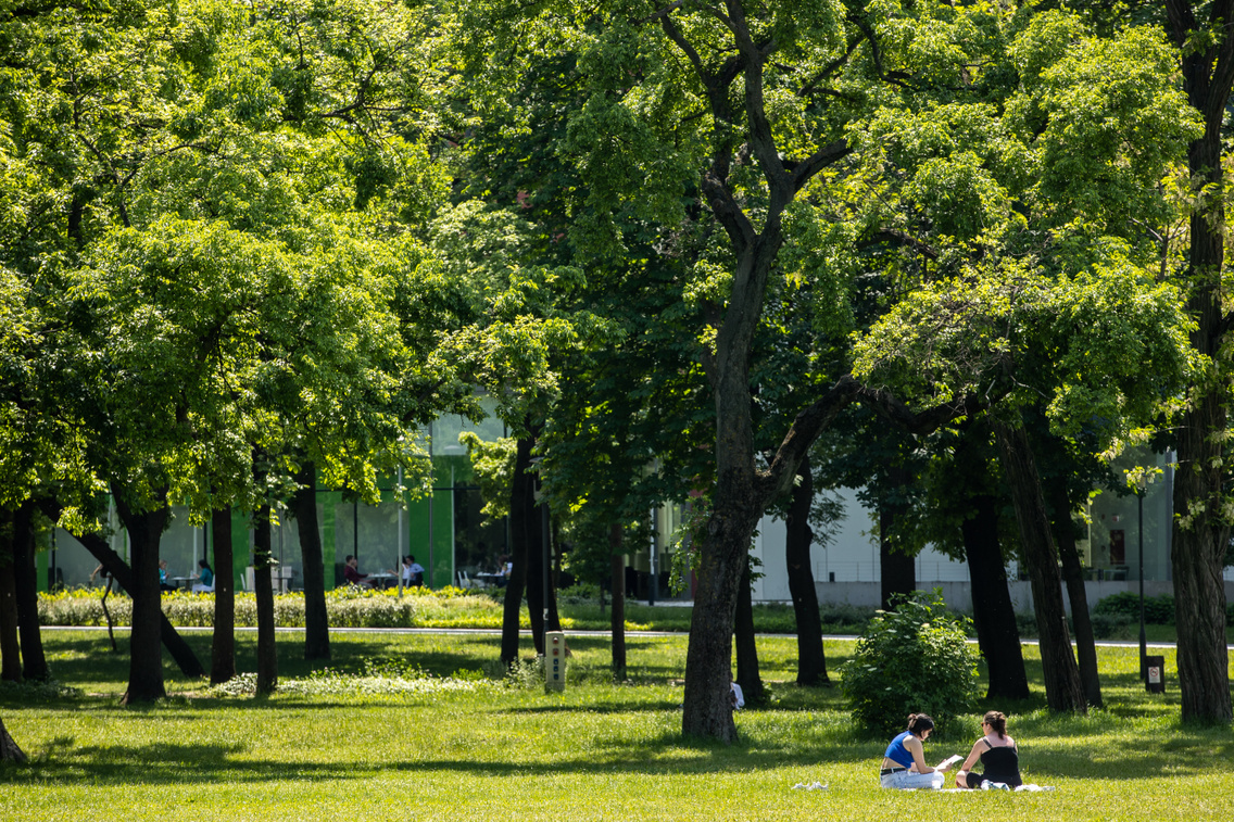 Orczy Park