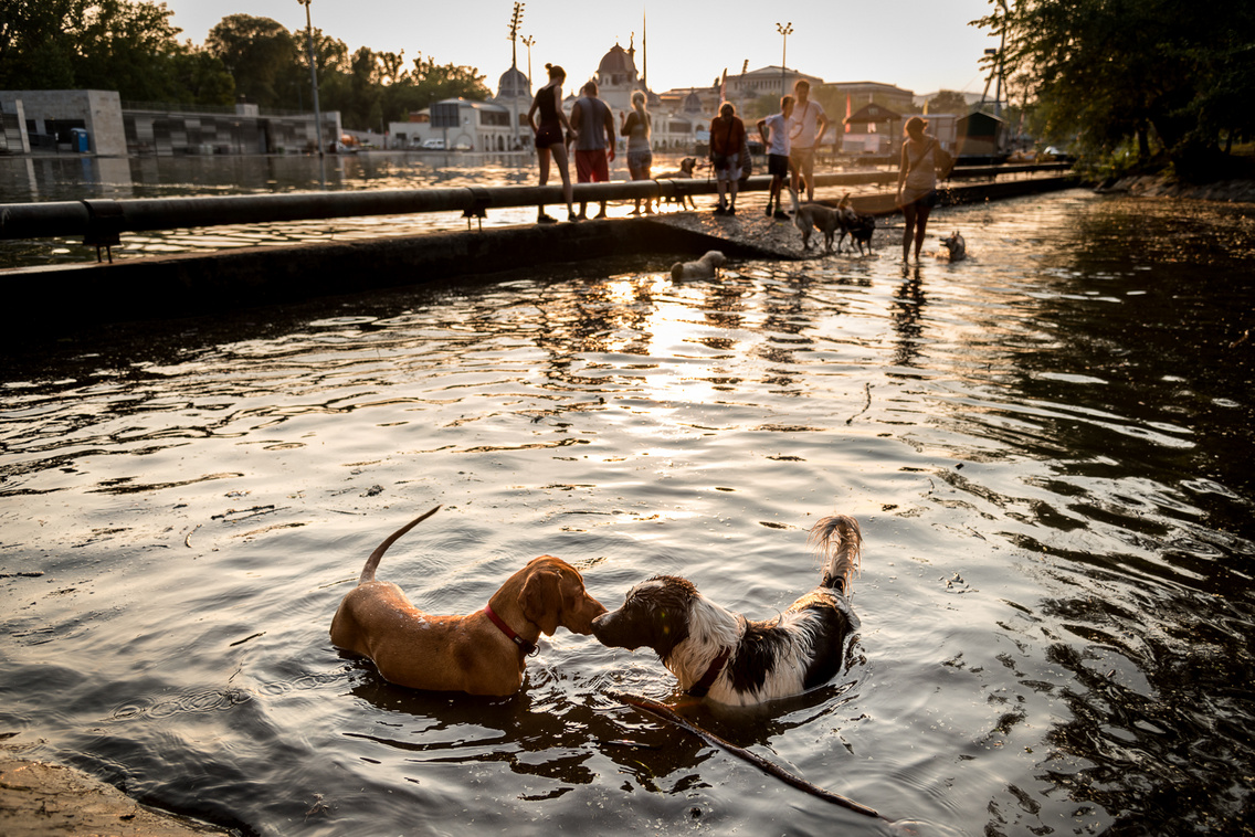 City Park Boating Lake