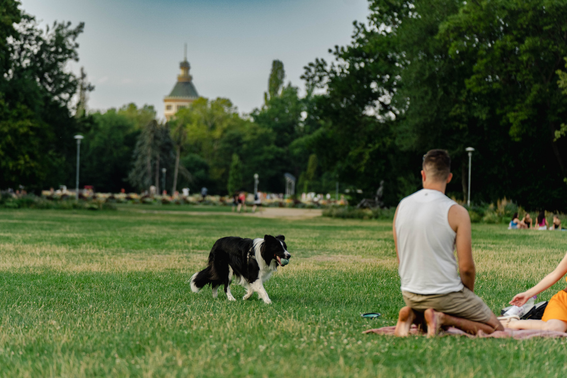 Margaret Island