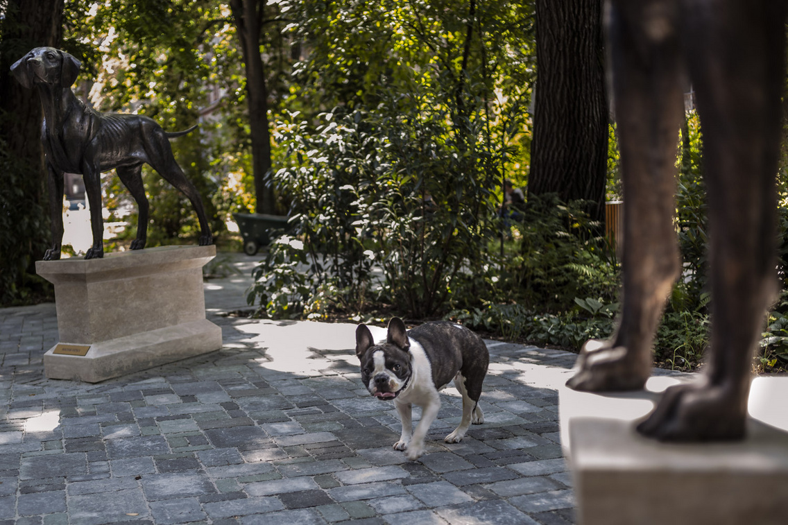 University of Veterinary Medicine Budapest