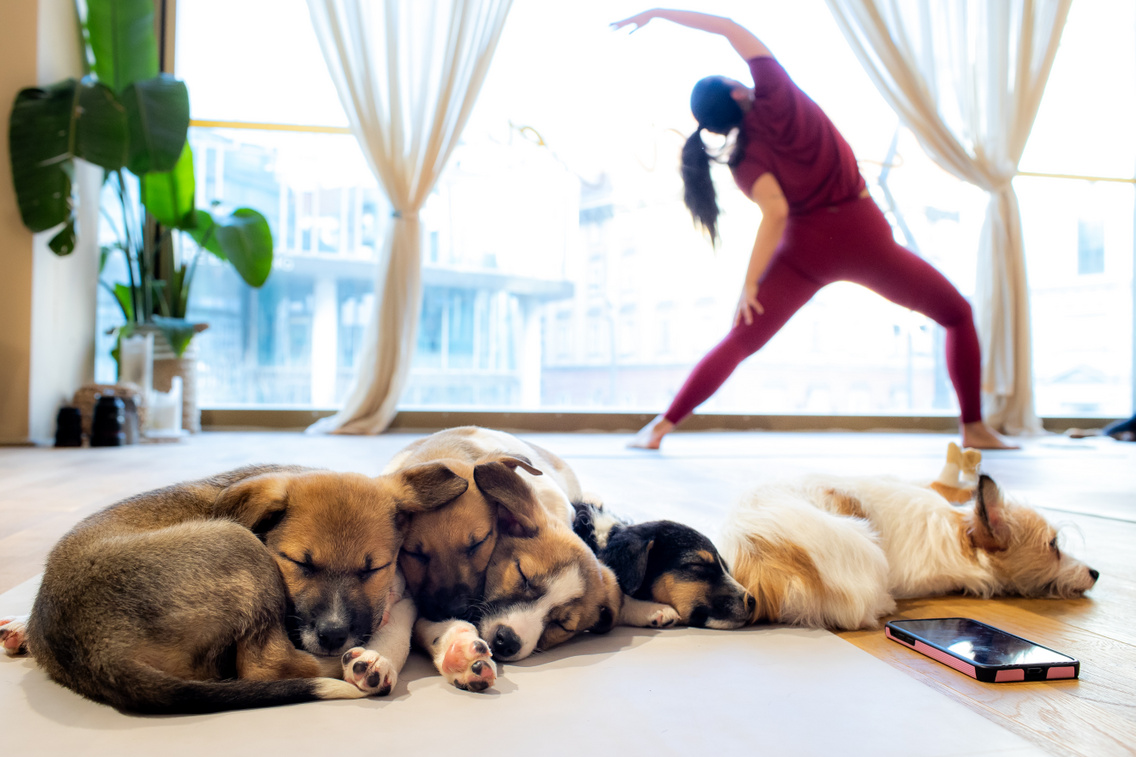 Puppy yoga