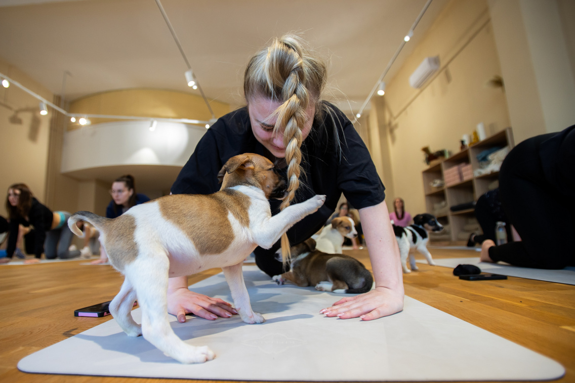 Puppy yoga