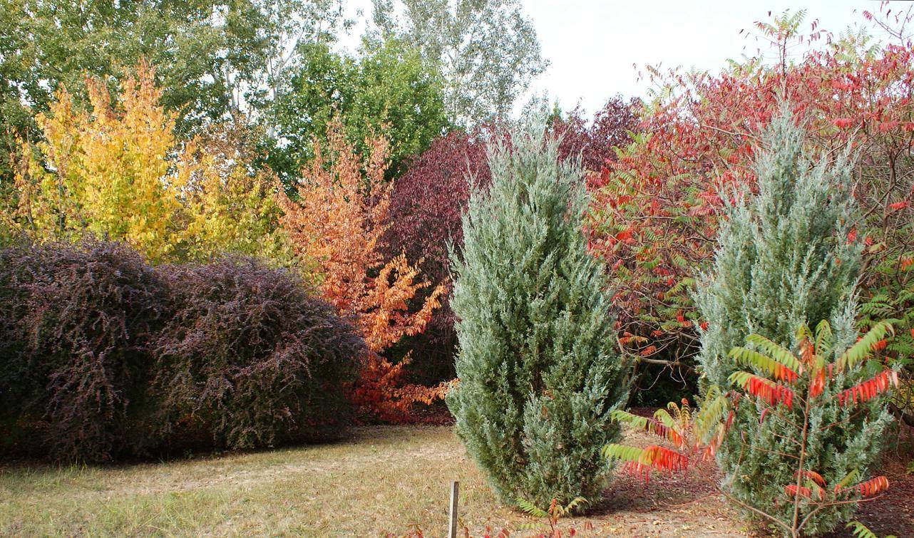 kecskemeti-arboretum